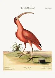 Il Chiurlo Rosso, 1749-73